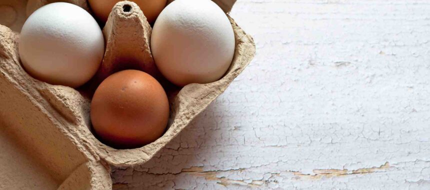 Día del Huevo: descubre sus propiedades